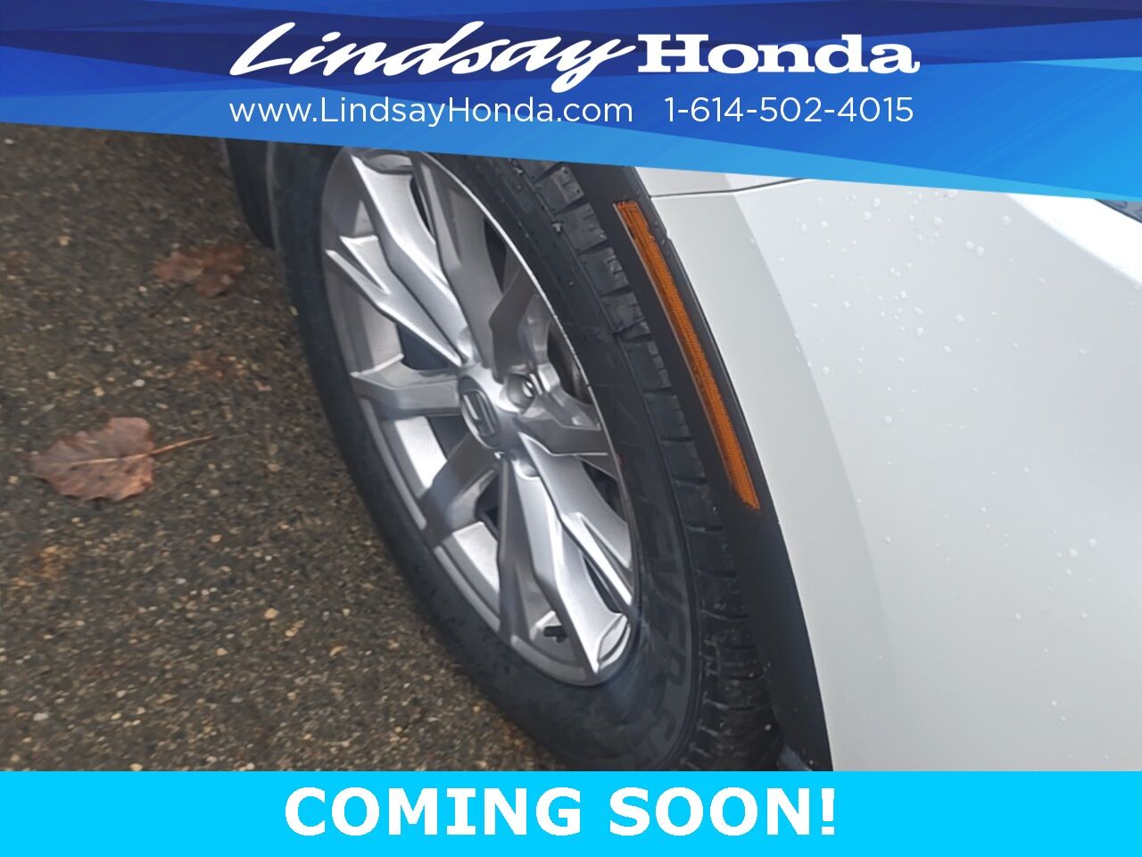2024 Honda CR-V EX-L Columbus OH