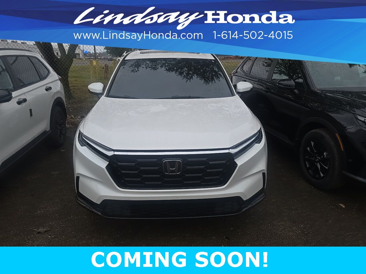 2024 Honda CR-V EX-L Columbus OH