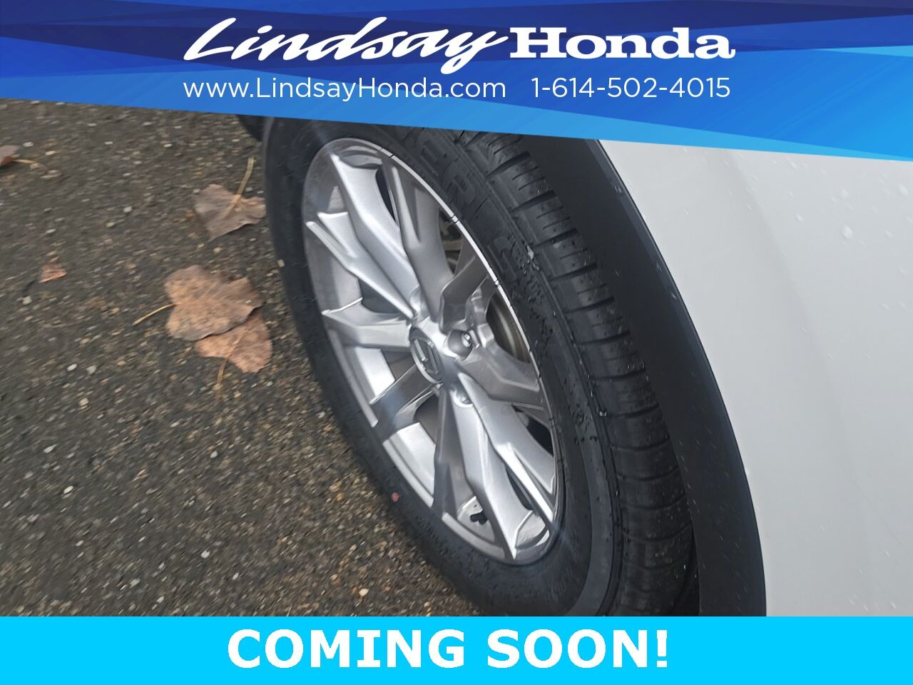 2024 Honda CR-V EX-L Columbus OH