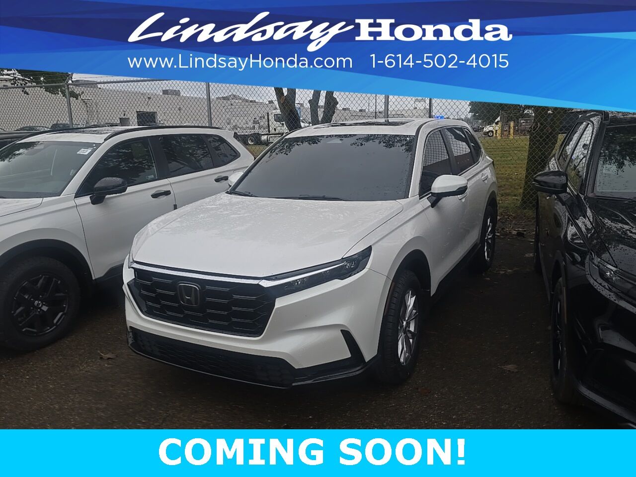 2024 Honda CR-V EX-L Columbus OH