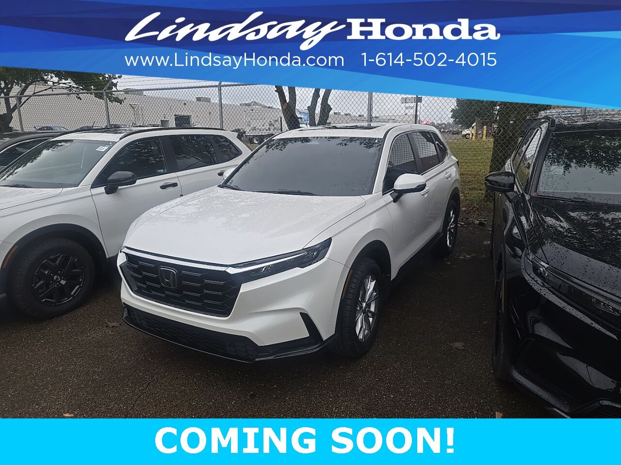 2024 Honda CR-V EX-L Columbus OH