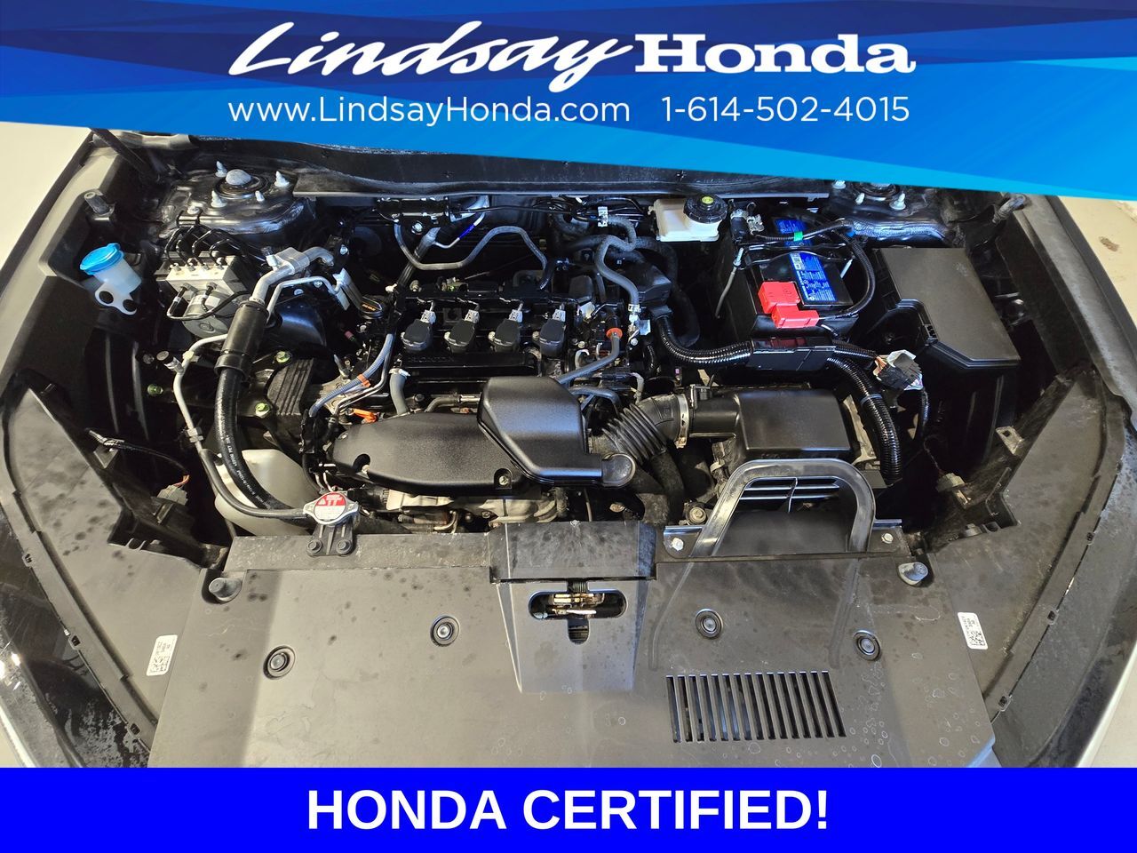 2024 Honda CR-V EX-L Columbus OH