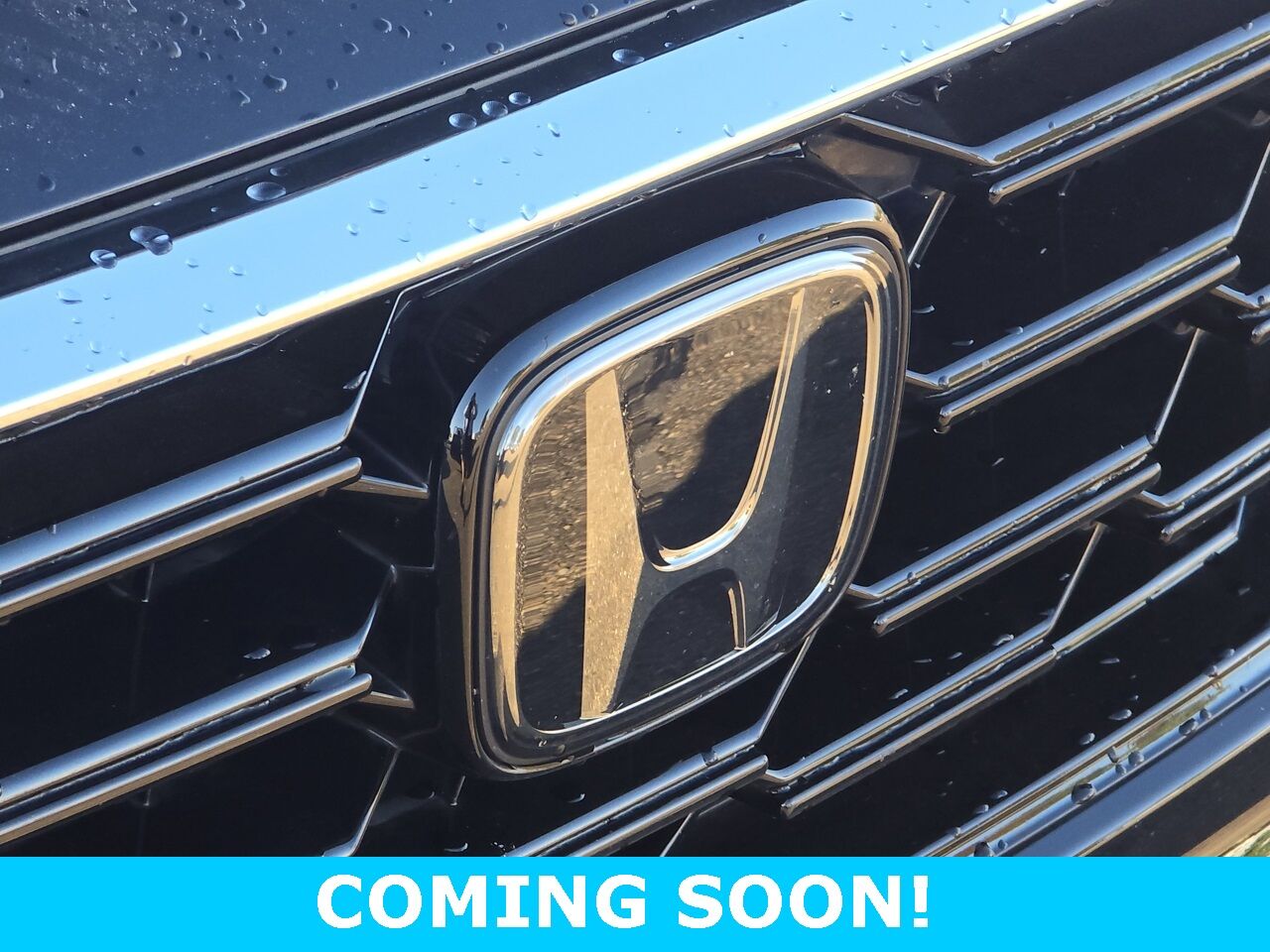 2024 Honda CR-V EX-L Columbus OH