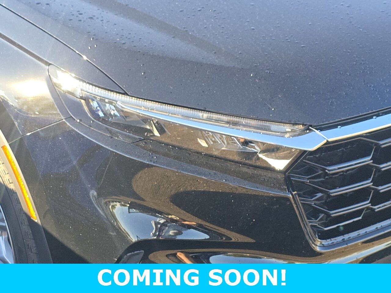 2024 Honda CR-V EX-L Columbus OH
