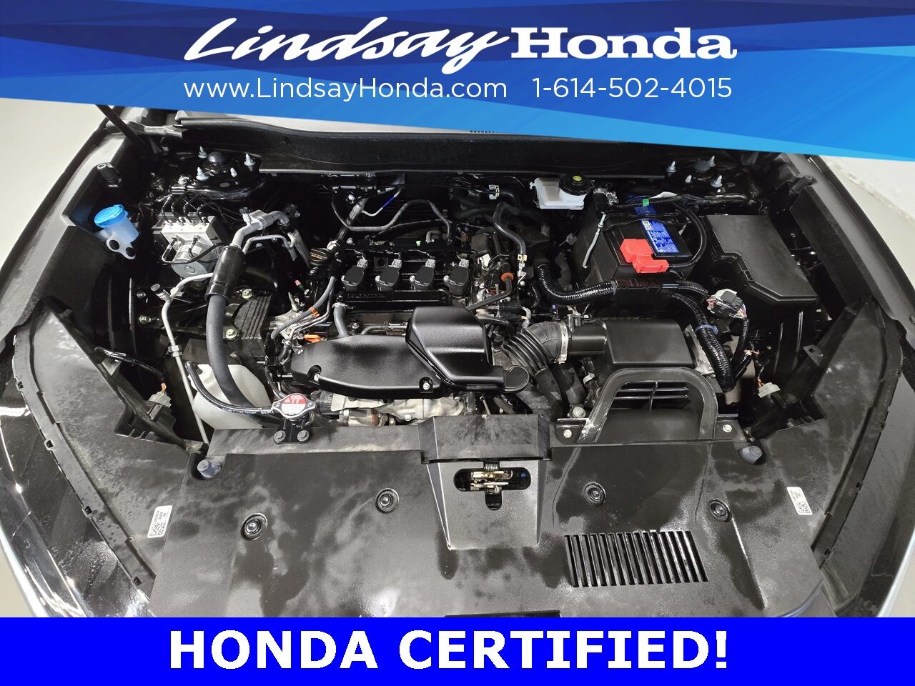 2024 Honda CR-V EX-L Columbus OH