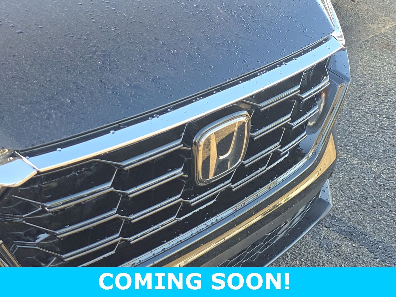 2024 Honda CR-V EX-L Columbus OH