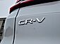 2024 Honda CR-V EX-L Wilson NC