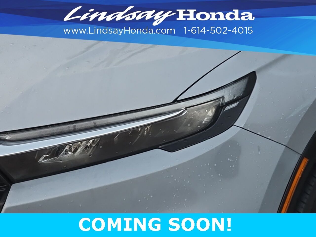 2024 Honda CR-V LX