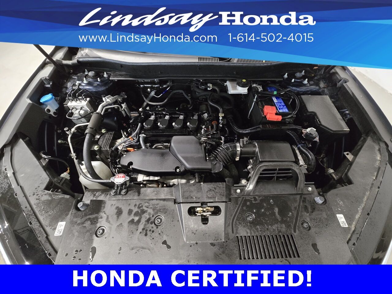 2024 Honda CR-V LX Columbus OH