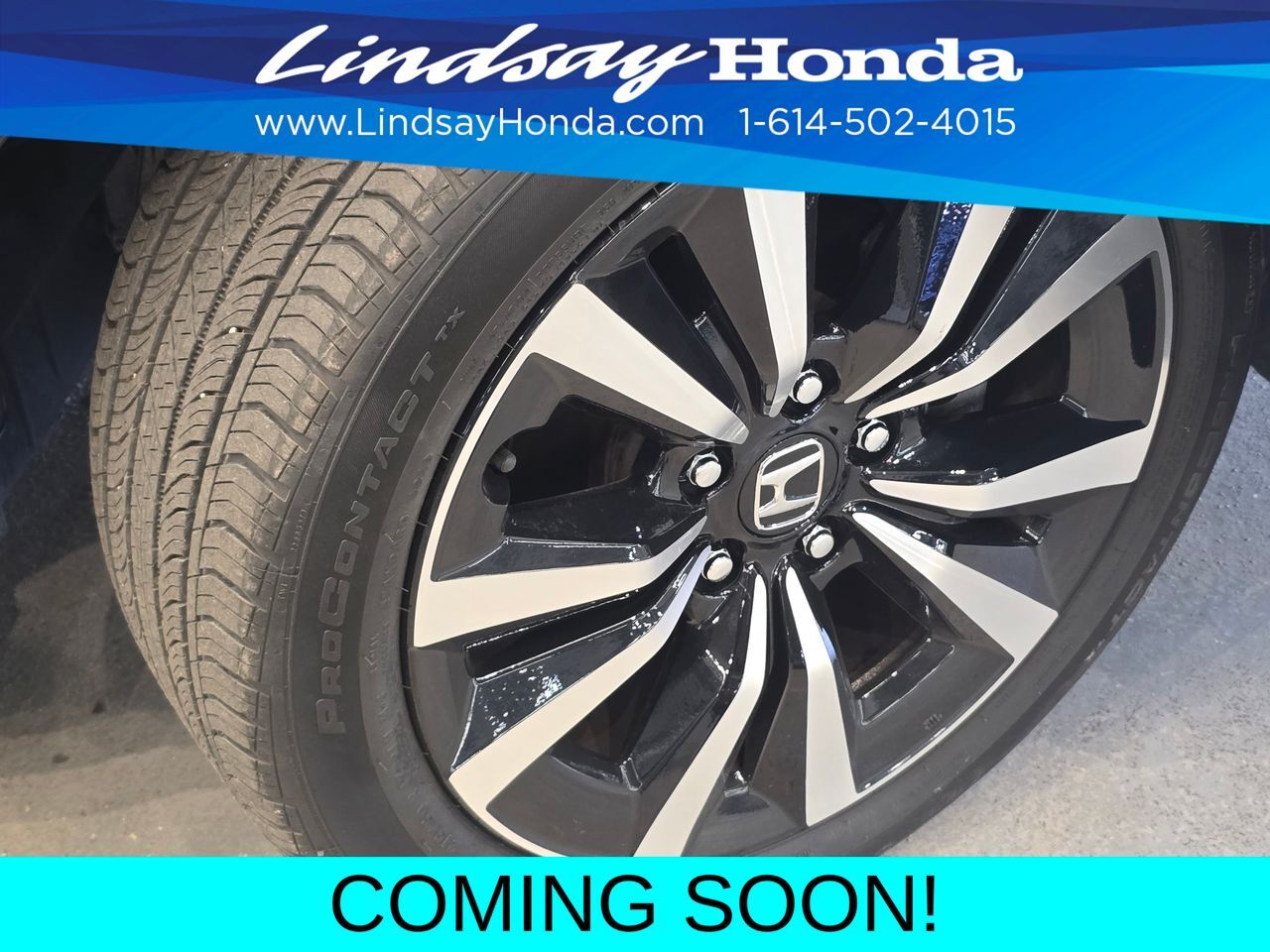 2024 Honda Civic EX-L Columbus OH