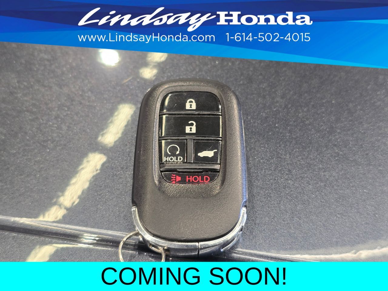 2024 Honda Civic EX-L Columbus OH