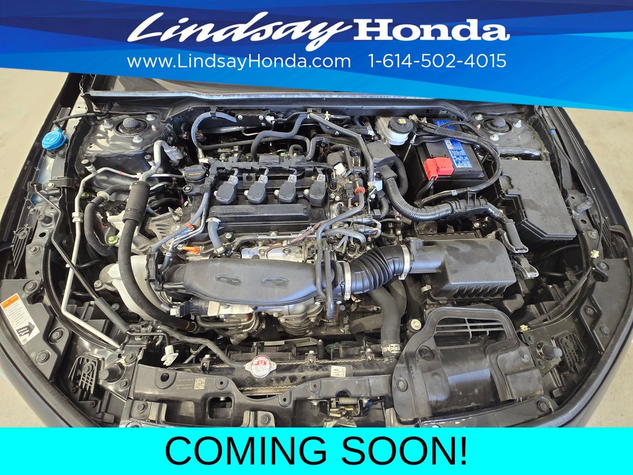 2024 Honda Civic EX-L Columbus OH