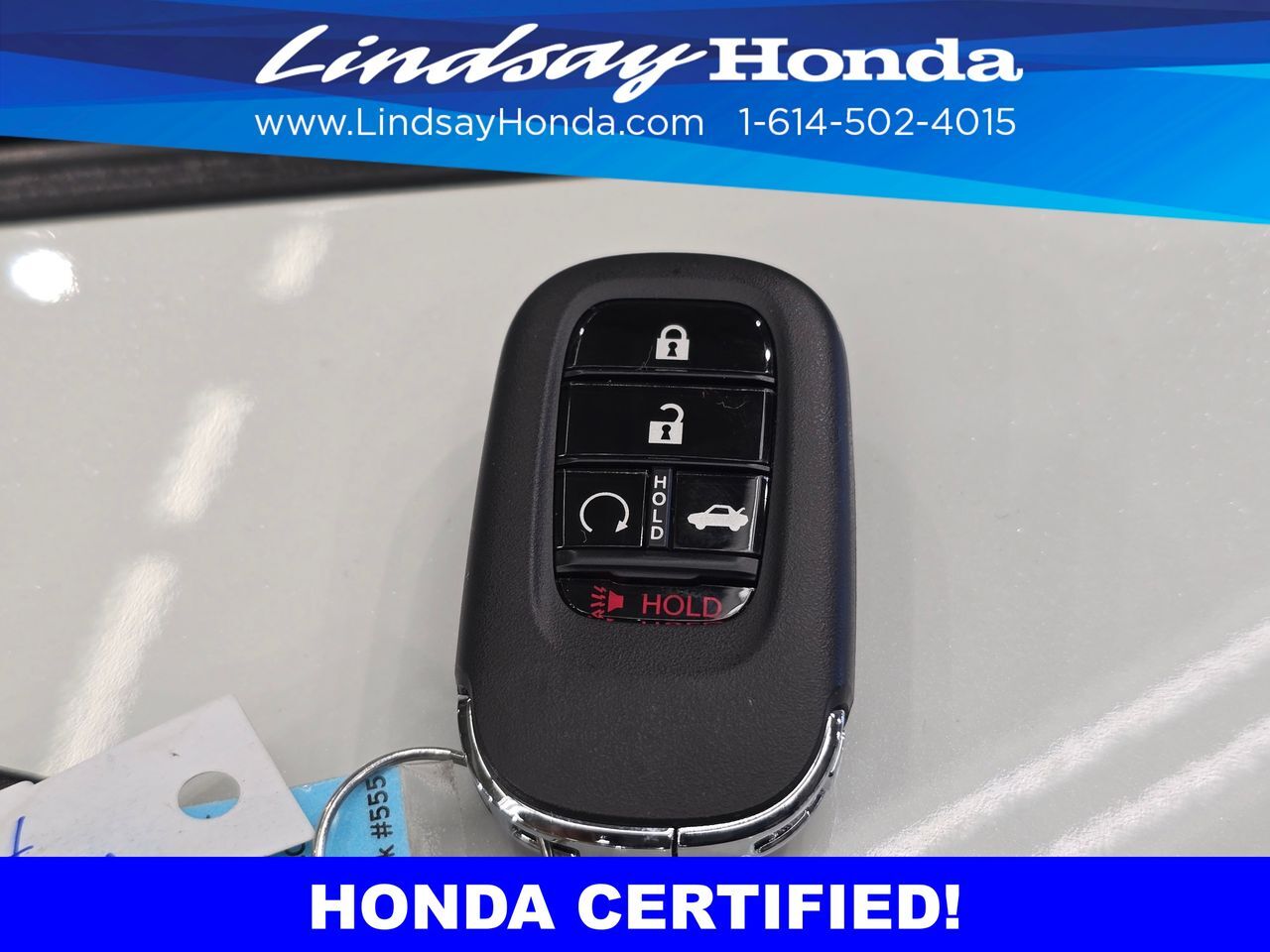 2024 Honda Civic Touring Columbus OH