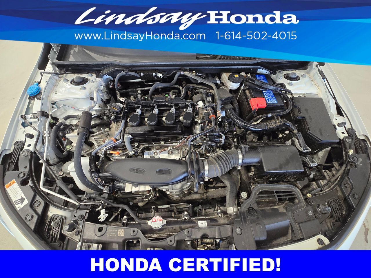 2024 Honda Civic Touring Columbus OH