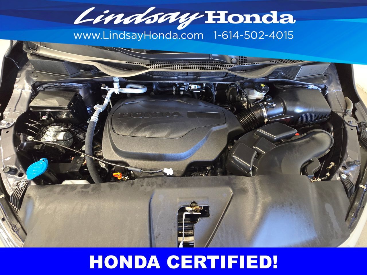 2024 Honda Odyssey EX-L Columbus OH