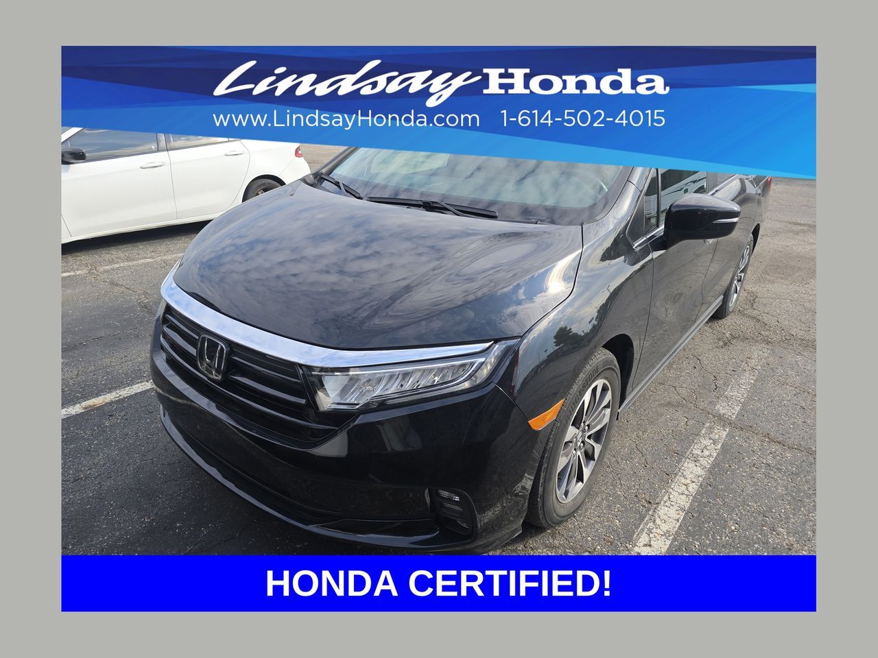 2024 Honda Odyssey EX-L