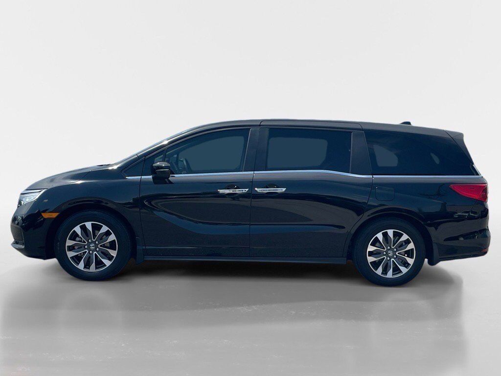 2024 Honda Odyssey EX-L Oak Ridge TN