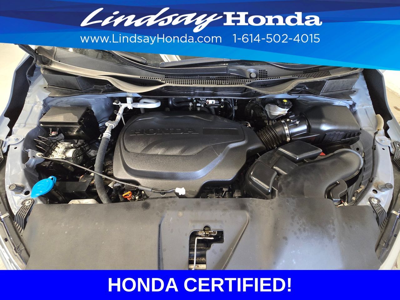 2024 Honda Odyssey Elite Columbus OH