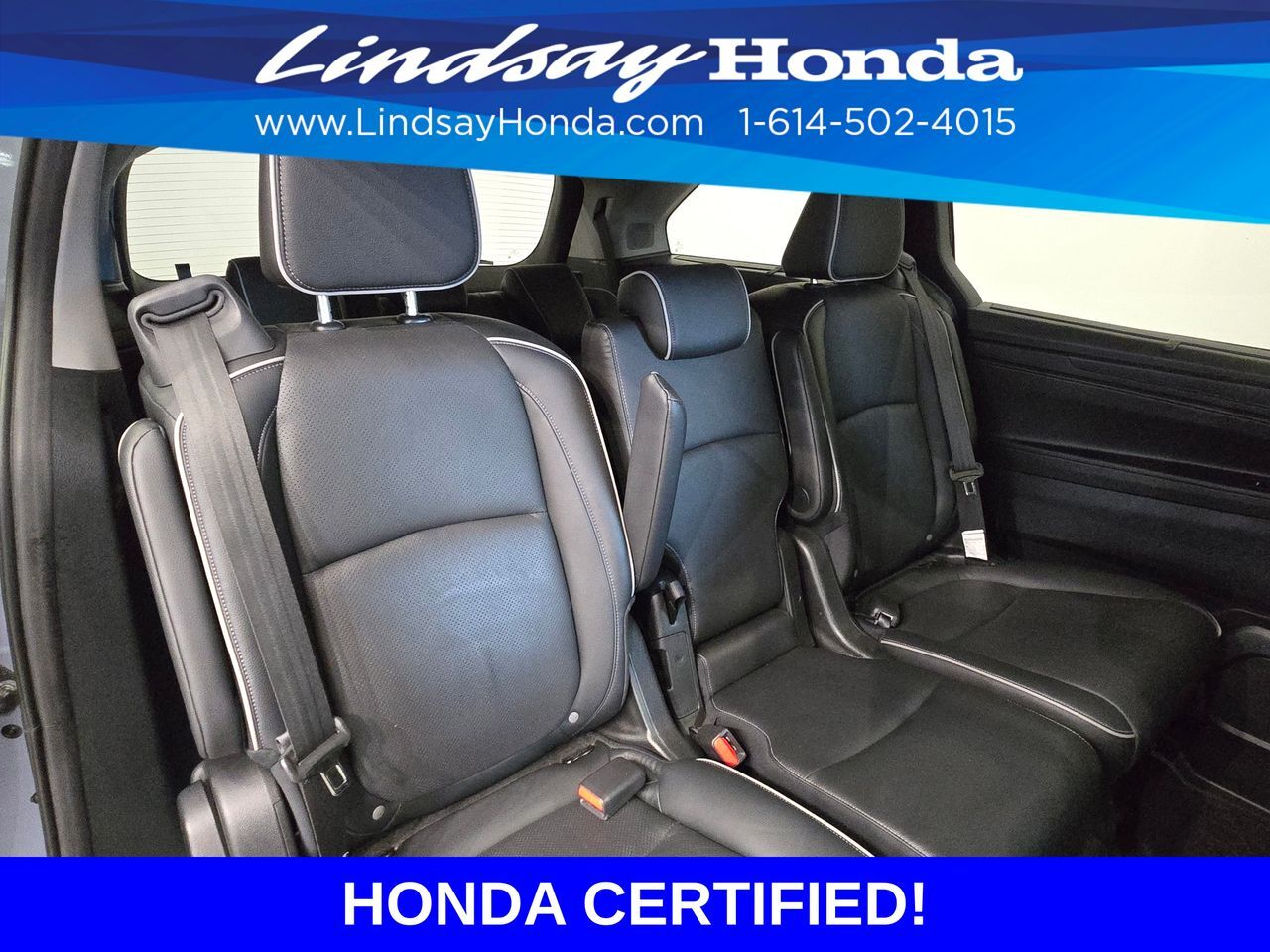 2024 Honda Odyssey Elite Columbus OH