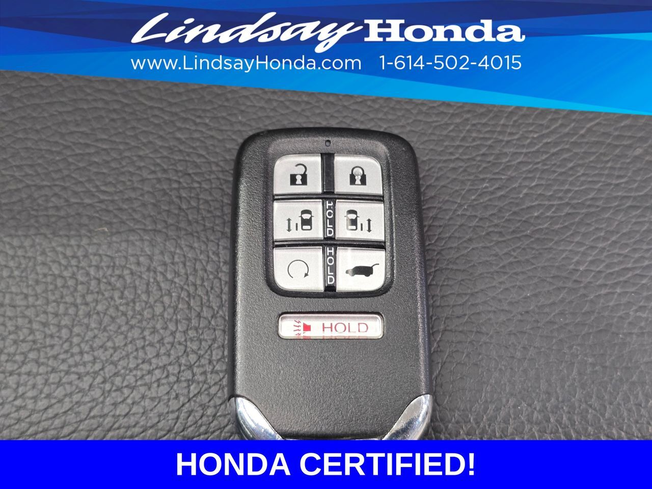 2024 Honda Odyssey Elite Columbus OH