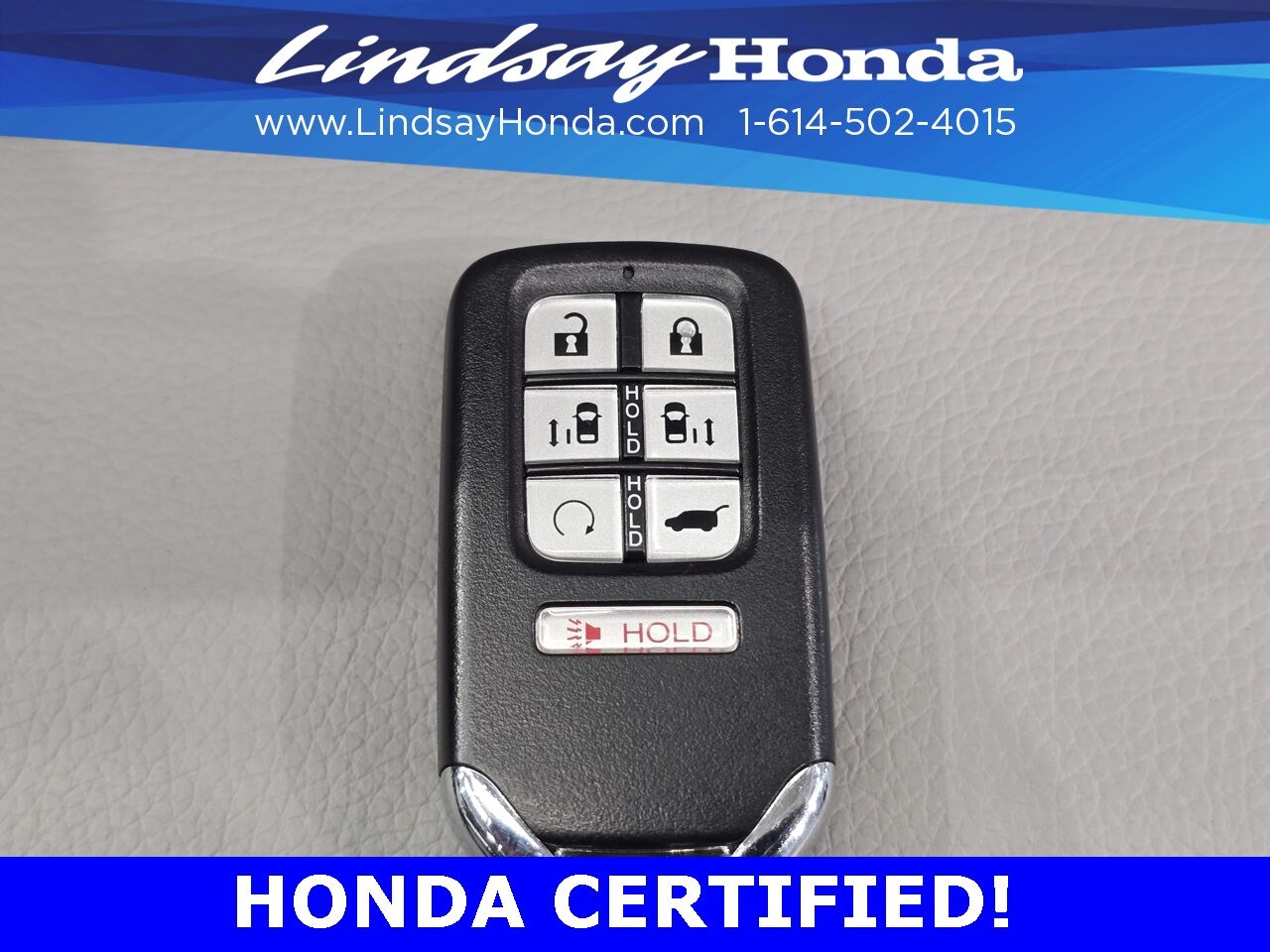 2024 Honda Odyssey Elite Columbus OH