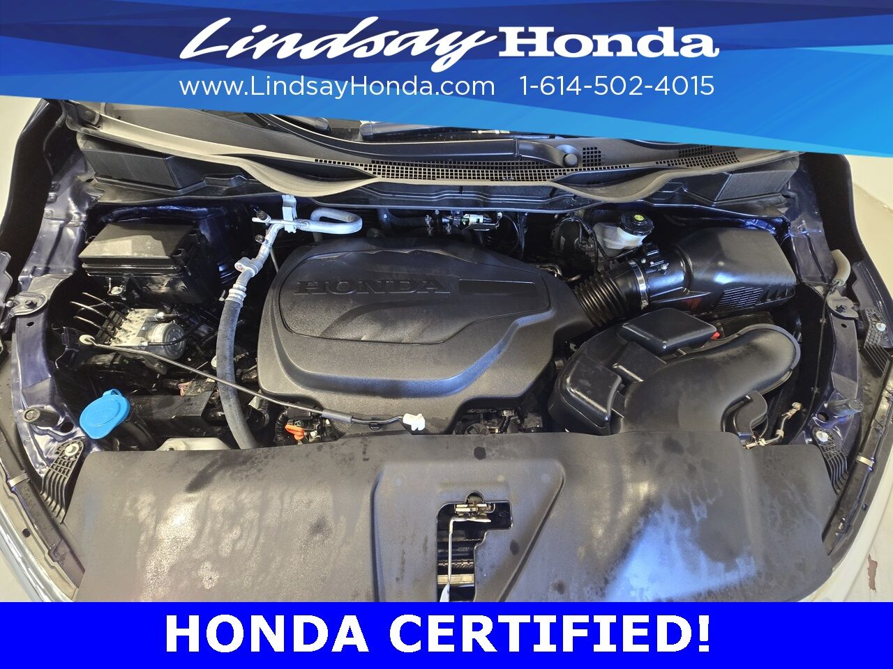 2024 Honda Odyssey Elite Columbus OH