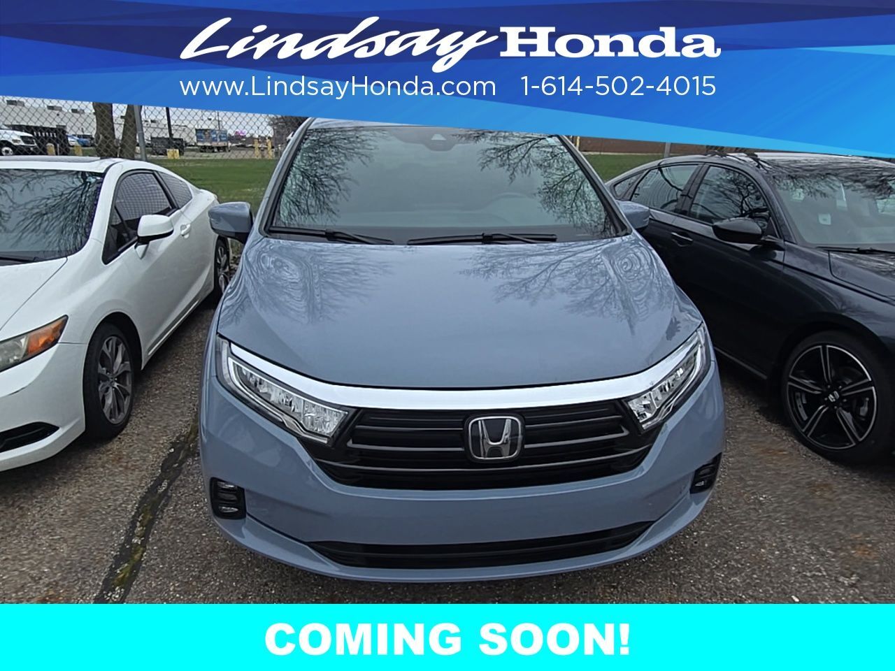 2024 Honda Odyssey Elite Columbus OH