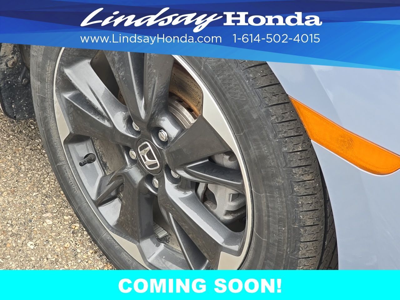 2024 Honda Odyssey Elite Columbus OH