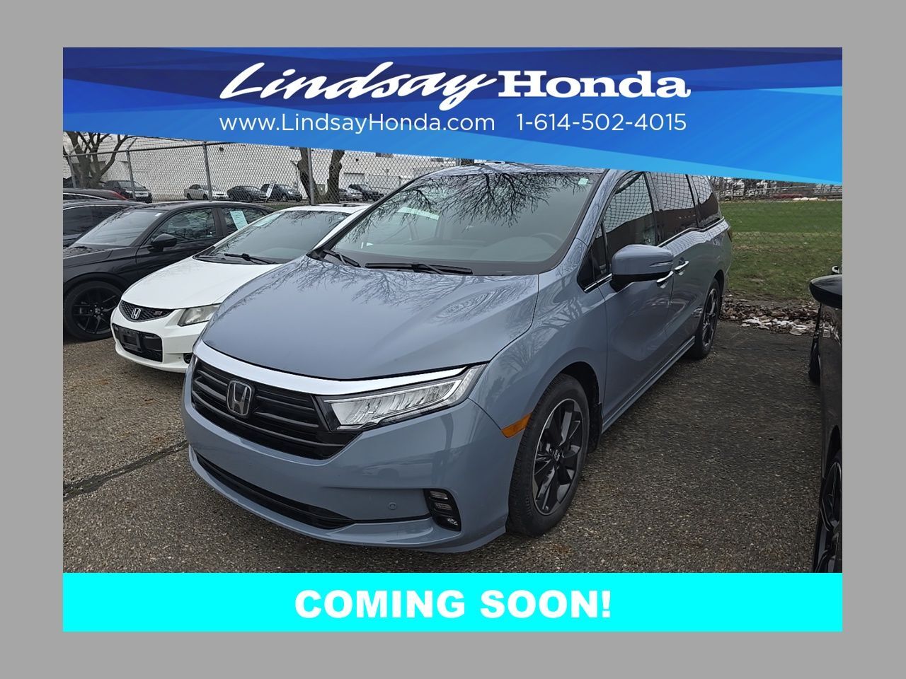 2024 Honda Odyssey Elite