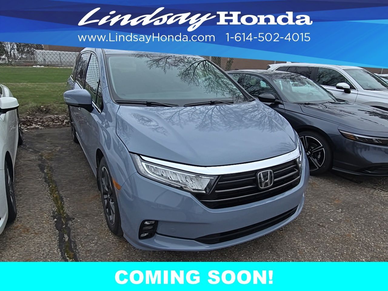 2024 Honda Odyssey Elite Columbus OH