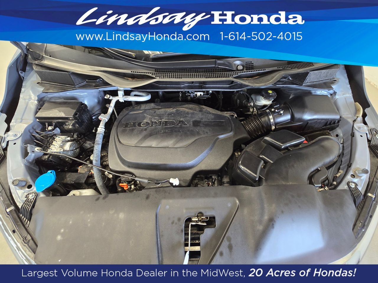 2024 Honda Odyssey Elite Columbus OH