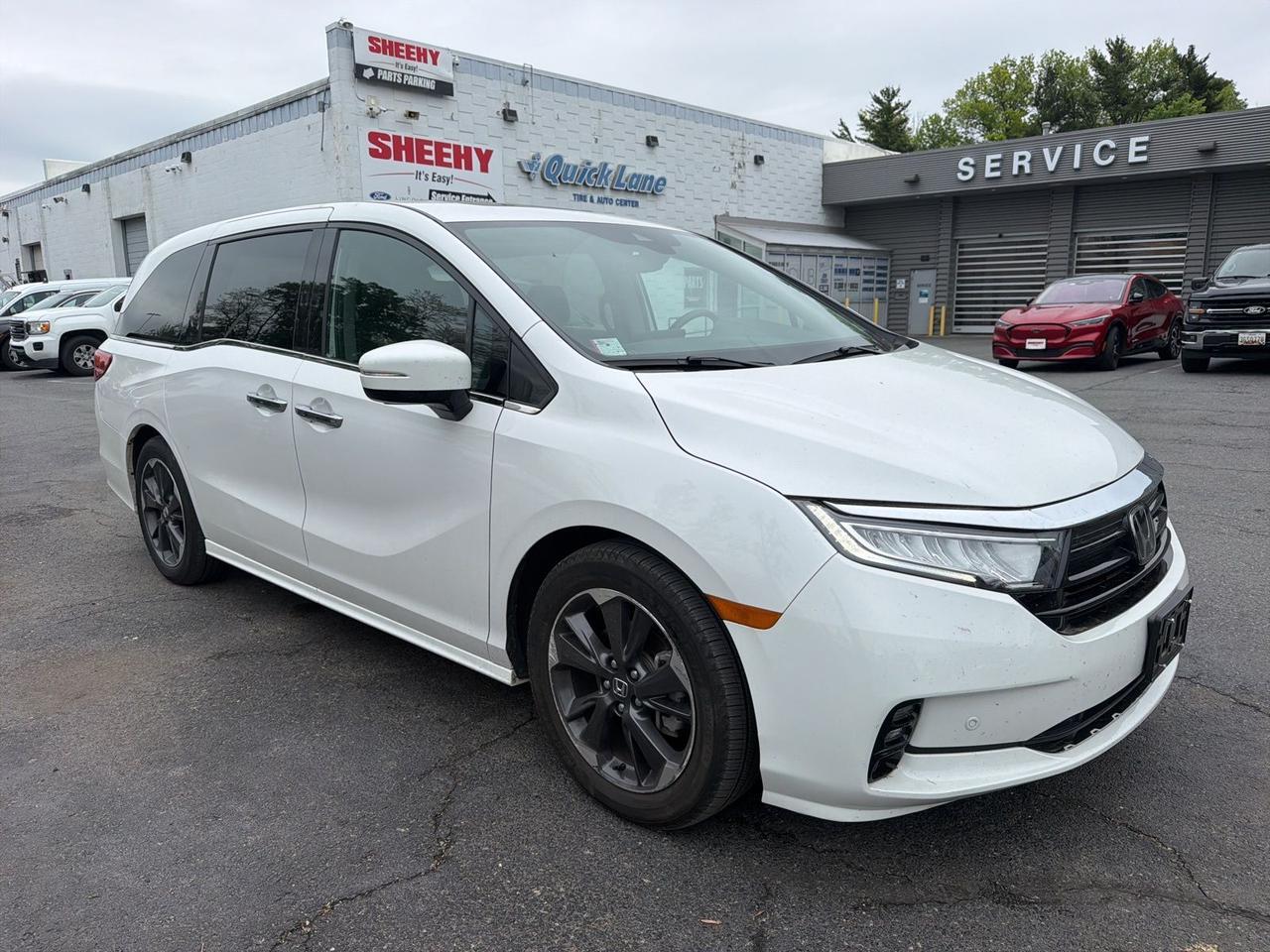 2024 Honda Odyssey Elite