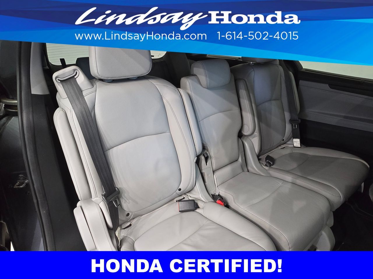 2024 Honda Odyssey Touring Columbus OH