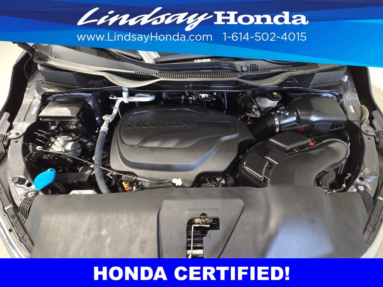 2024 Honda Odyssey Touring Columbus OH