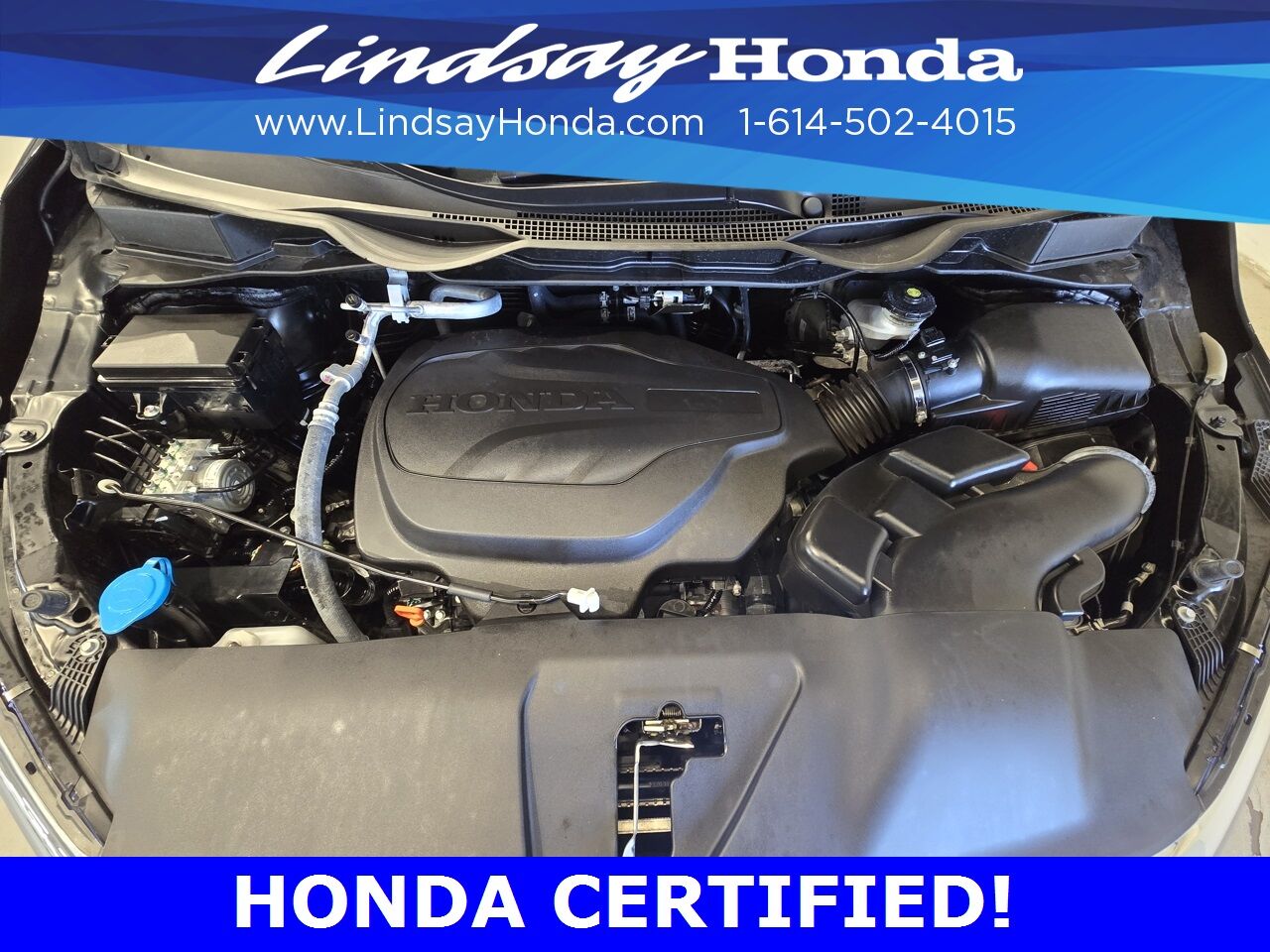 2024 Honda Odyssey Touring Columbus OH