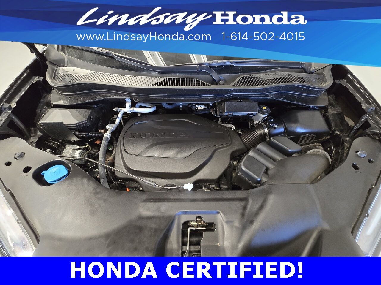 2024 Honda Passport Black Edition Columbus OH