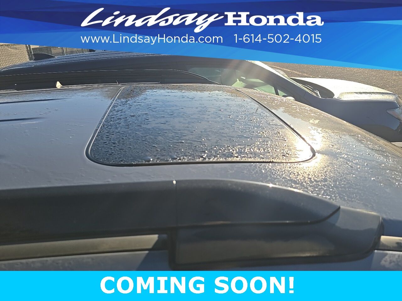 2024 Honda Passport Black Edition Columbus OH