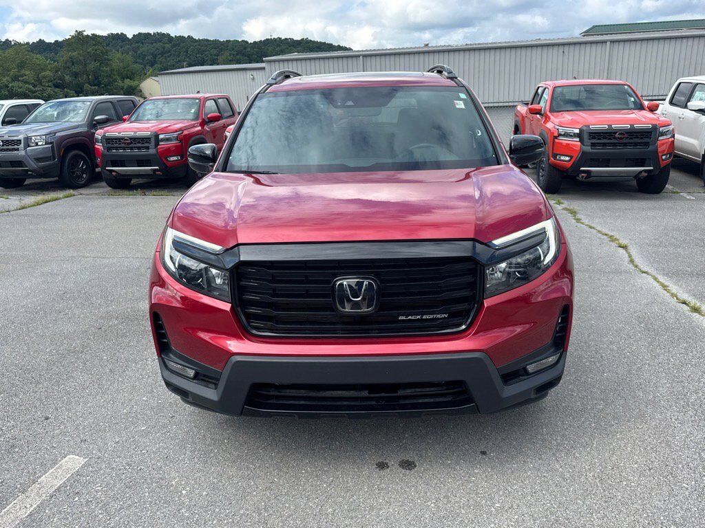2024 Honda Passport Black Edition Johnson City TN