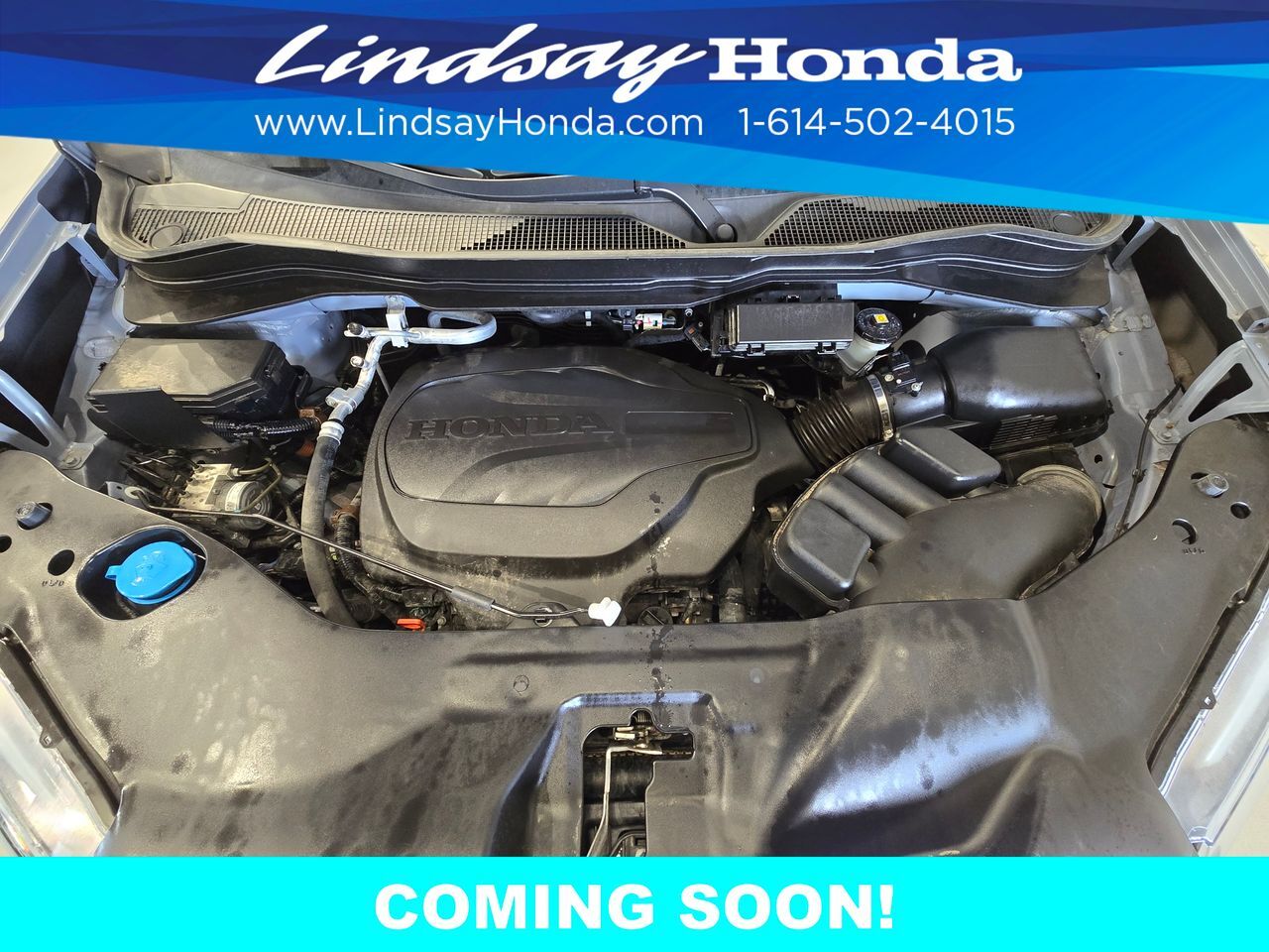 2024 Honda Passport EX-L Columbus OH