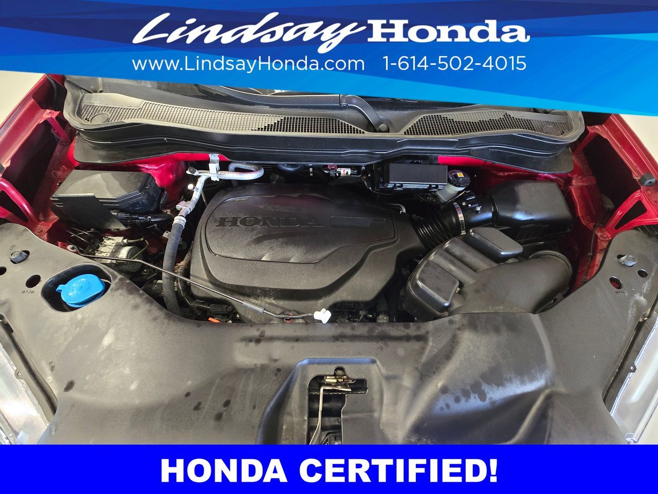 2024 Honda Passport EX-L Columbus OH