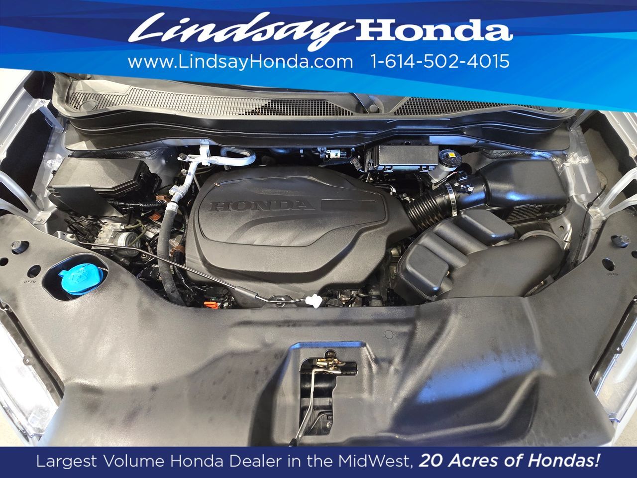 2024 Honda Passport EX-L Columbus OH