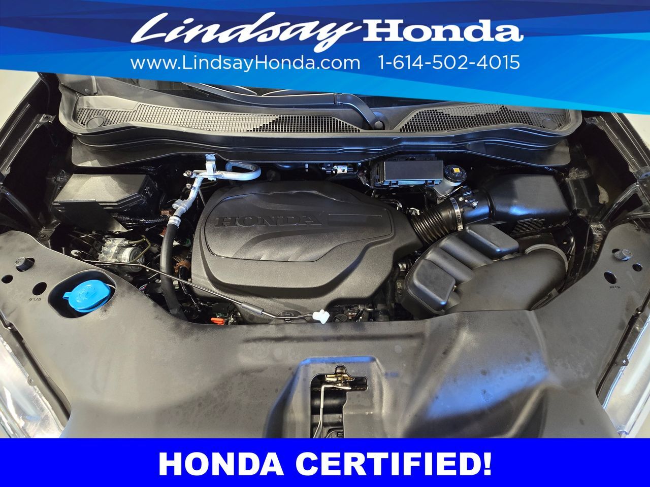 2024 Honda Passport EX-L Columbus OH