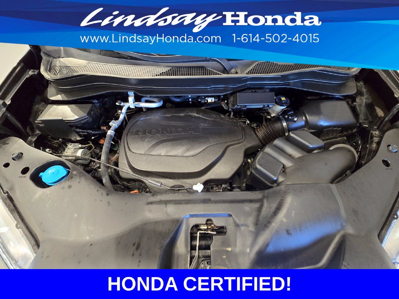 2024 Honda Passport EX-L Columbus OH