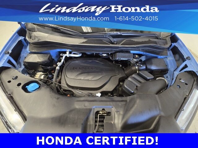2024 Honda Passport TrailSport Columbus OH