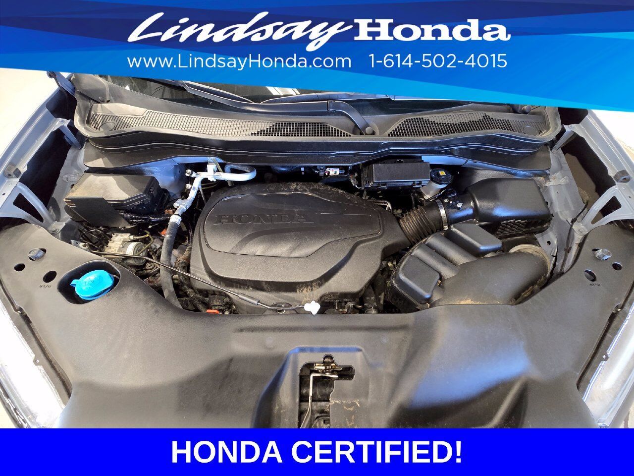 2024 Honda Passport TrailSport Columbus OH