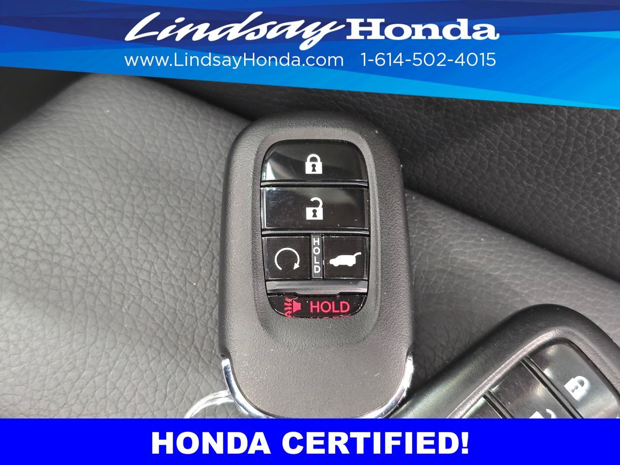 2024 Honda Pilot EX-L Columbus OH
