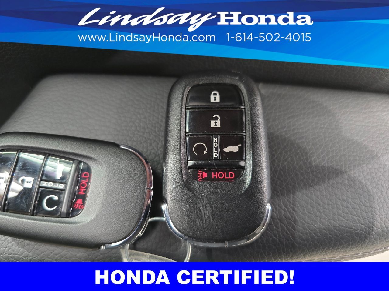 2024 Honda Pilot EX-L Columbus OH