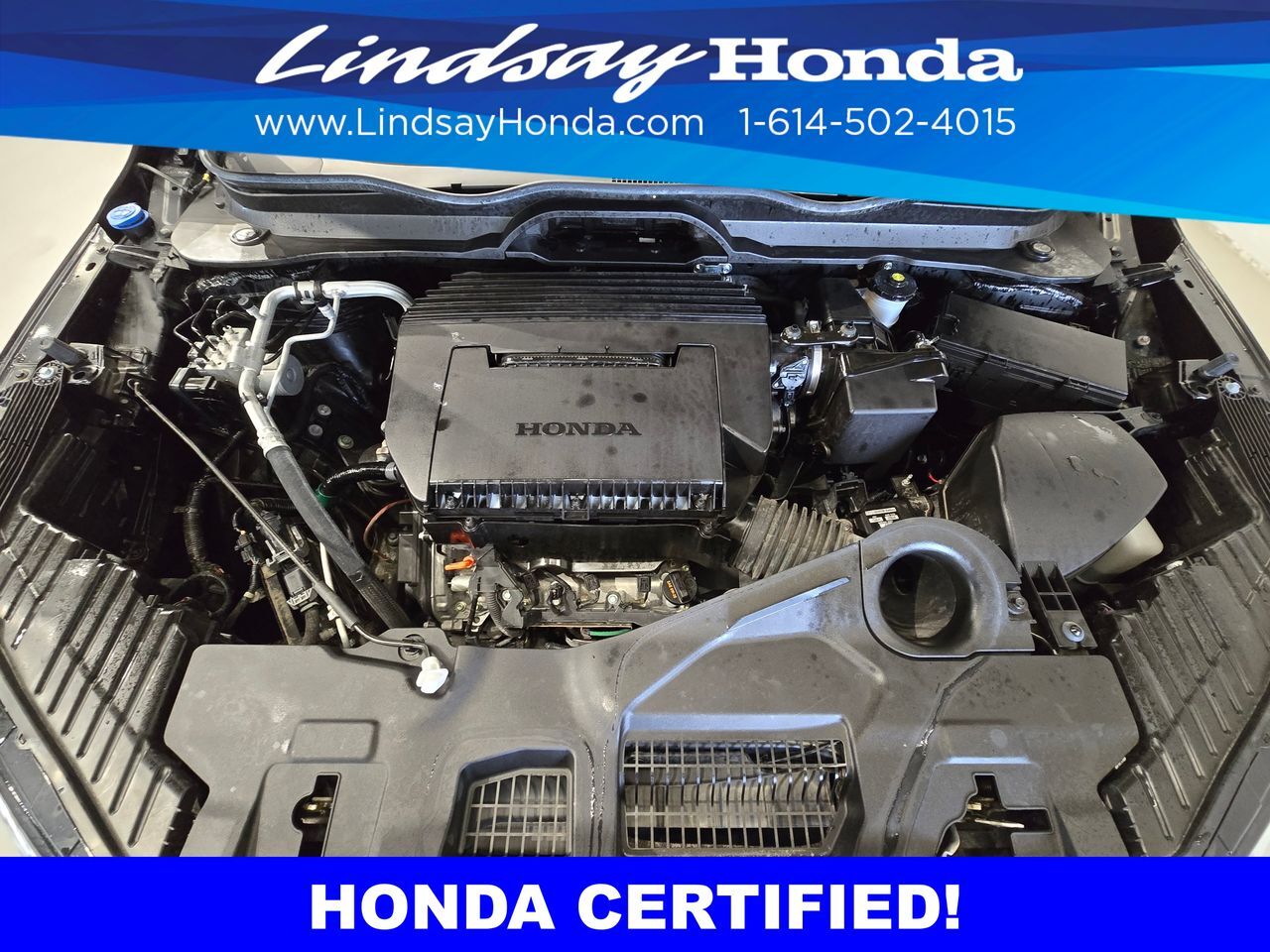 2024 Honda Pilot EX-L Columbus OH