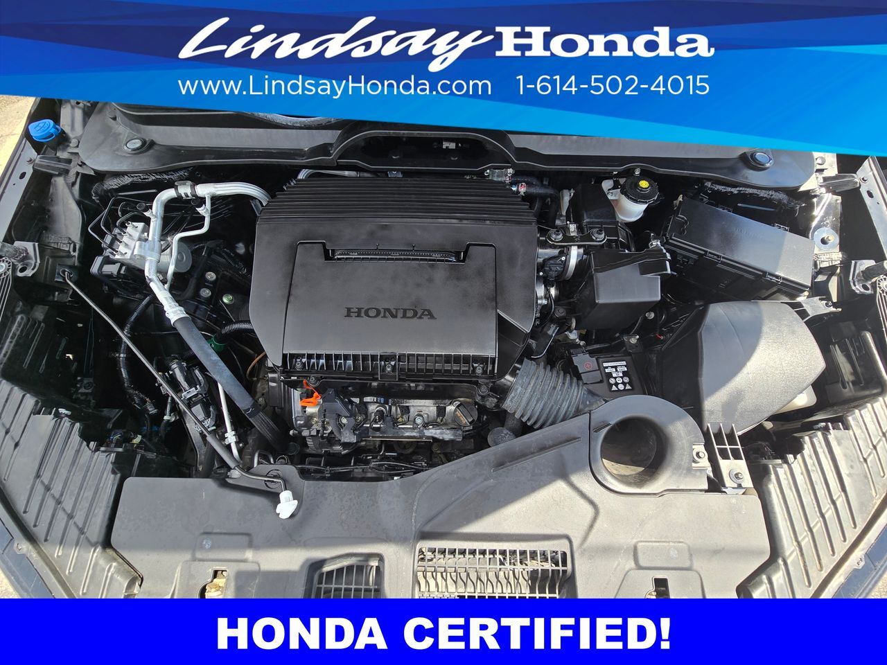 2024 Honda Pilot EX-L Columbus OH