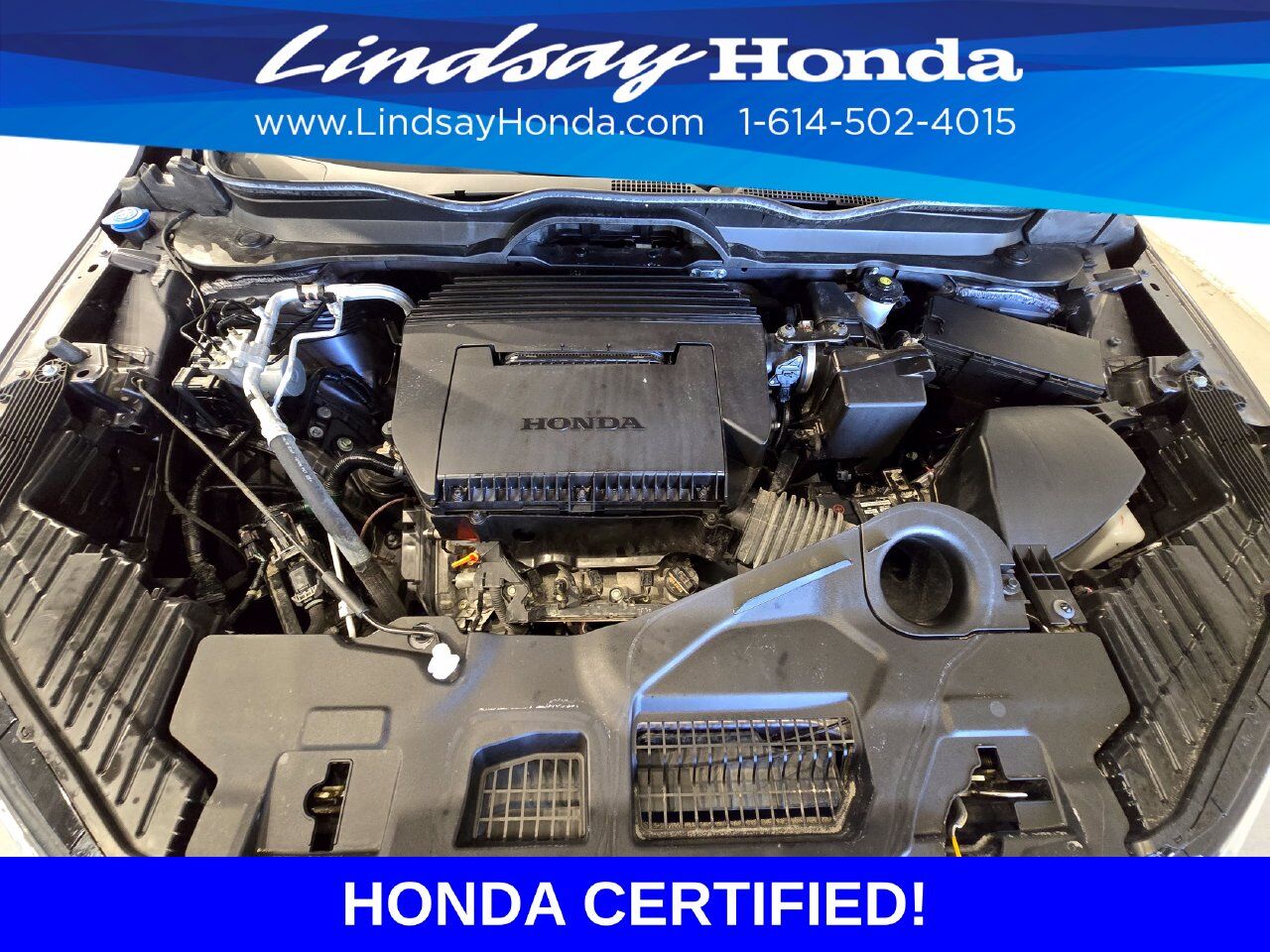 2024 Honda Pilot Elite Columbus OH